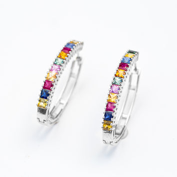 Multicolour Cylon Earrings